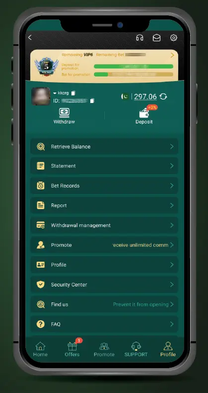 PK365 Game profile page displaying player information and account details